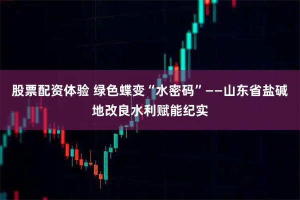 股票配资体验 绿色蝶变“水密码”——山东省盐碱地改良水利赋能纪实
