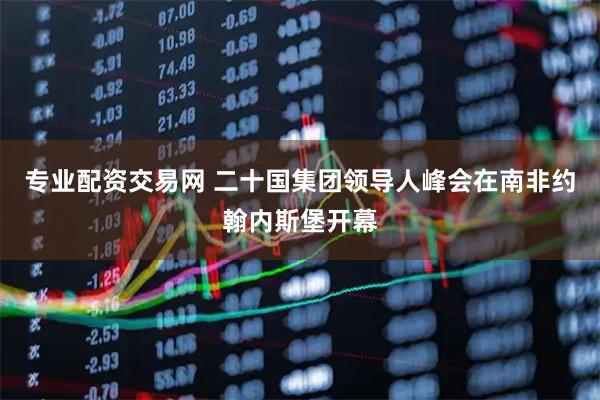 专业配资交易网 二十国集团领导人峰会在南非约翰内斯堡开幕